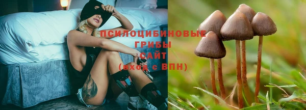 2c-b Алексин