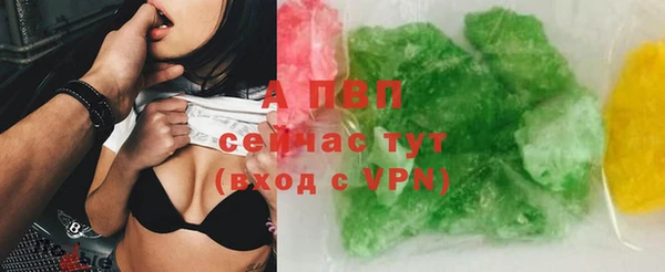 прущие грибы Дмитров
